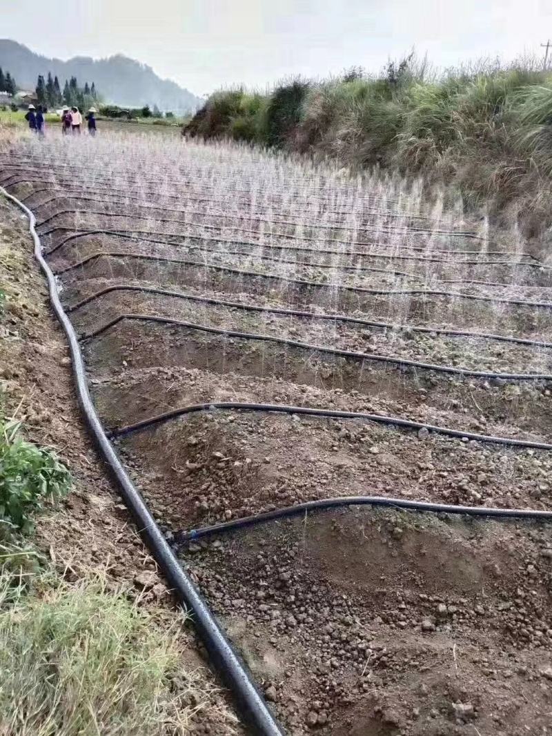 滴灌带技术创新正当时：现代农业的绿色革命