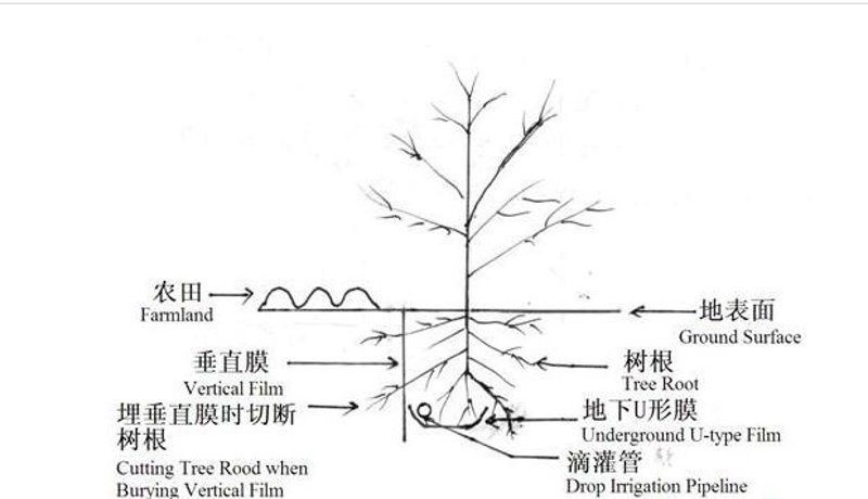 微灌设备：现代农业不可或缺的好帮手